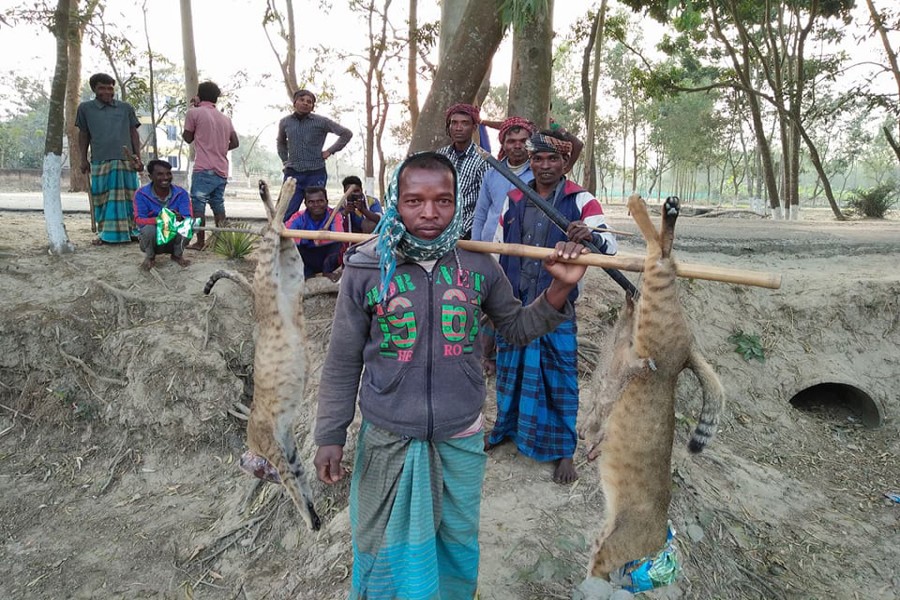 Indiscriminate hunting by Rajshahi ethnic community