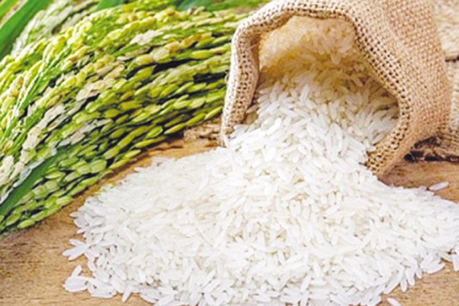 Many rice. Экспорт риса.
